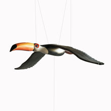 Load image into Gallery viewer, Bright Toucan
