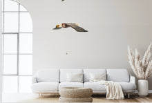 Load image into Gallery viewer, American Bald Eagle
