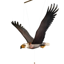 Load image into Gallery viewer, American Bald Eagle
