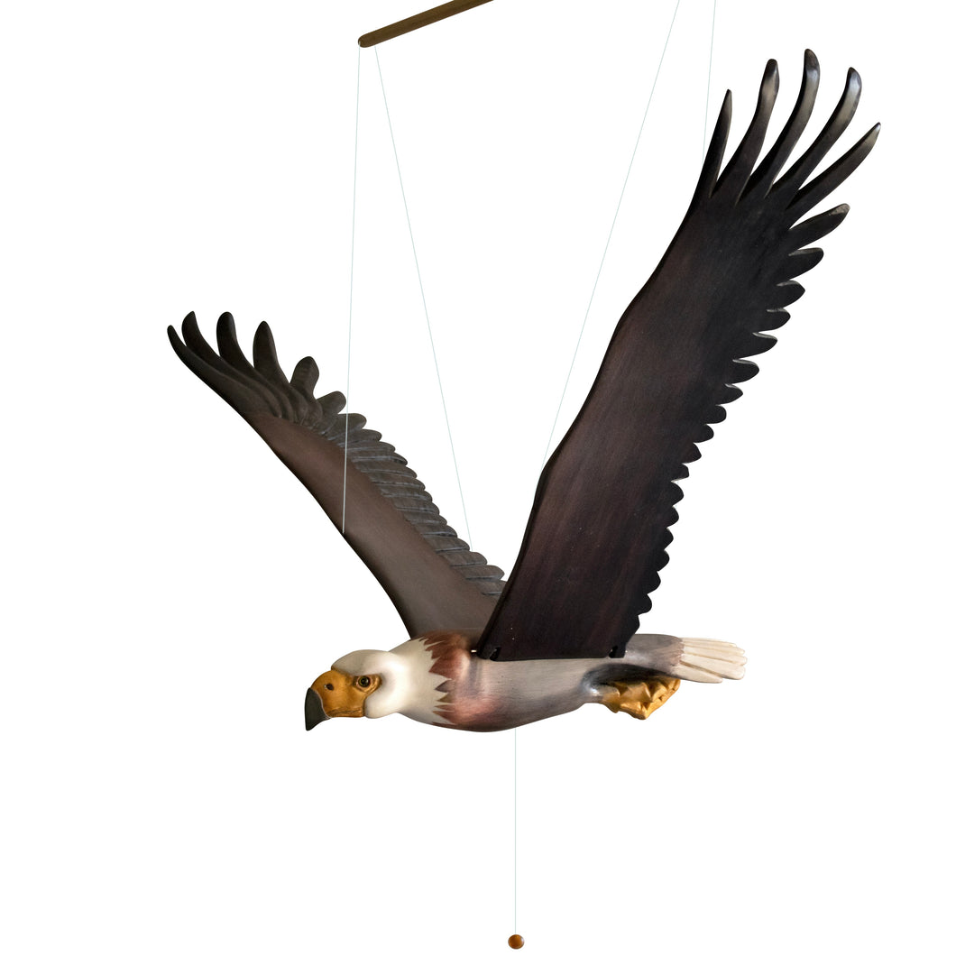 American Bald Eagle
