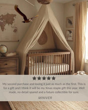 Load image into Gallery viewer, Barn Owl Wooden Mobile Bird
