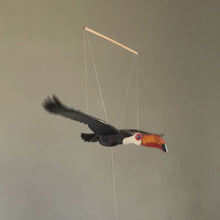 Load and play video in Gallery viewer, Bright Toucan
